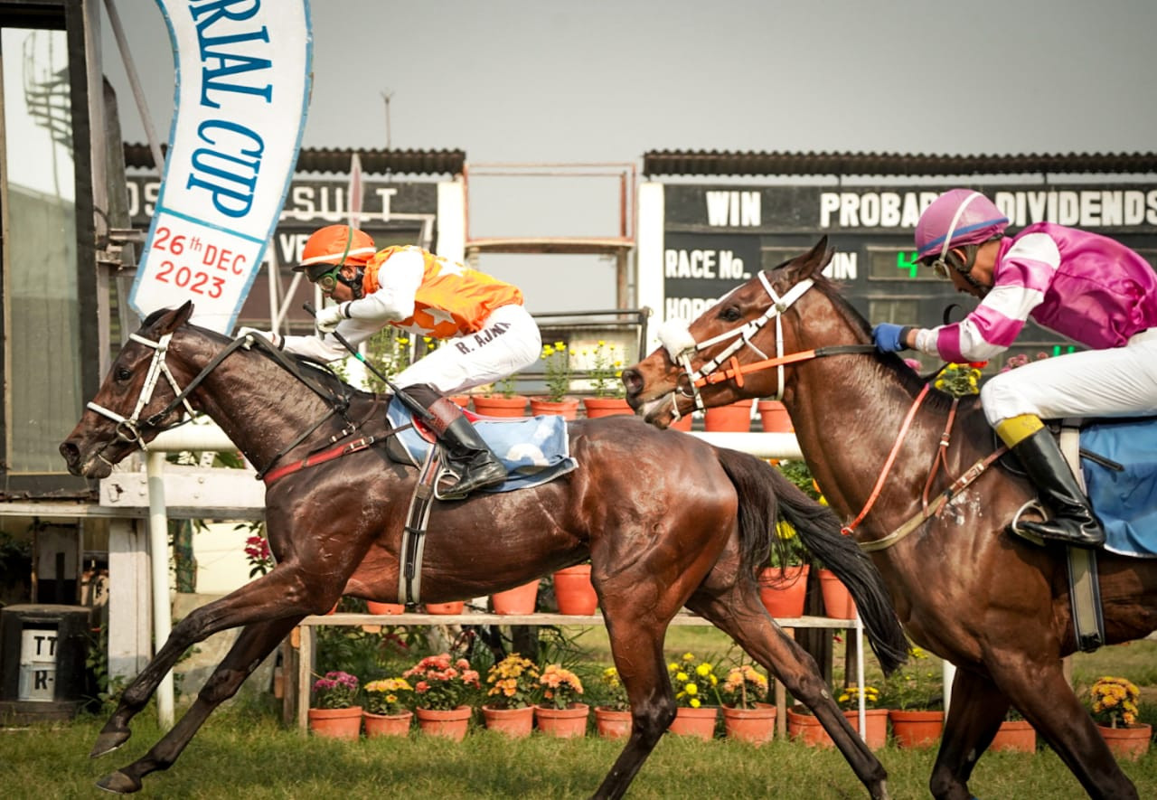 Calcutta, 26.12.2023