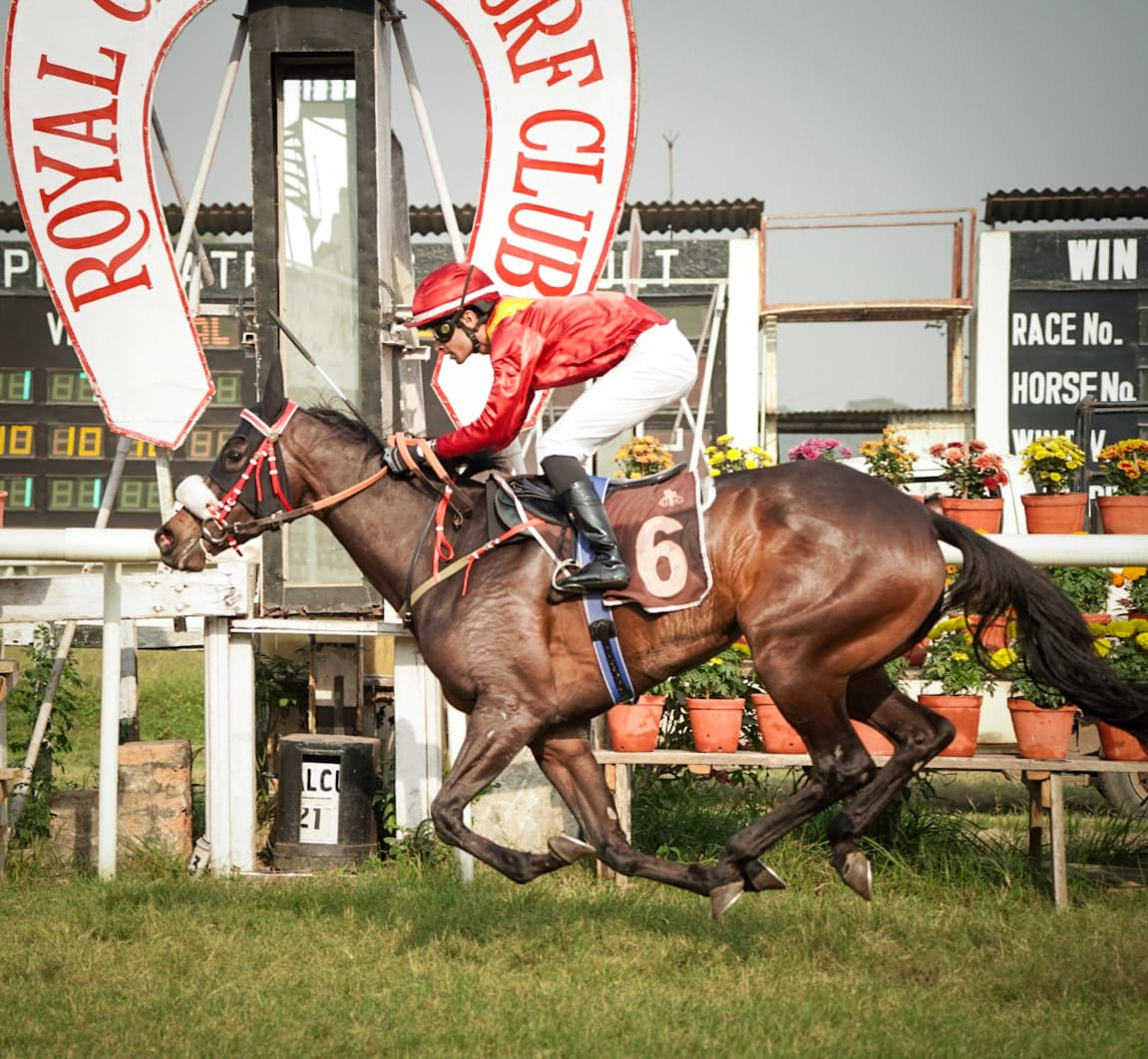 Calcutta, 21.12.2023