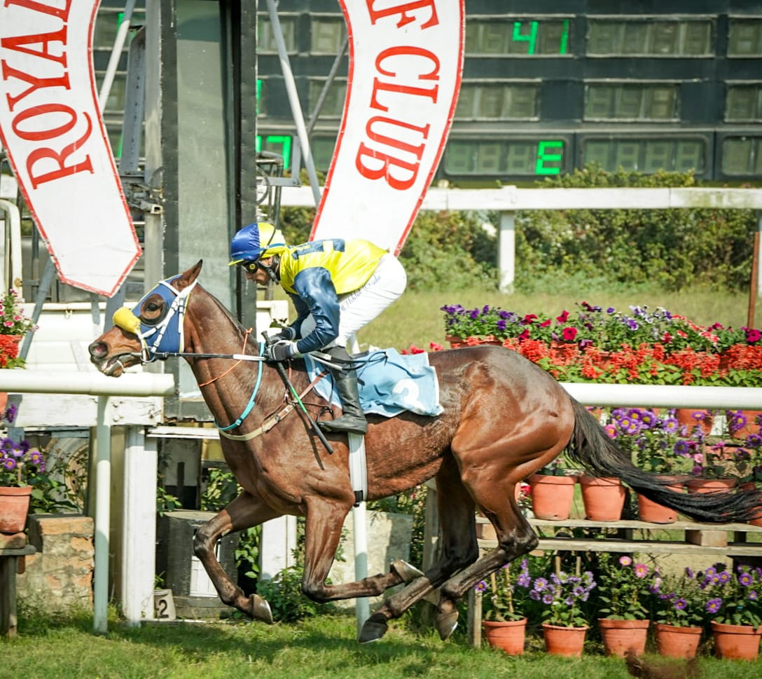 Calcutta, 10.02.2024