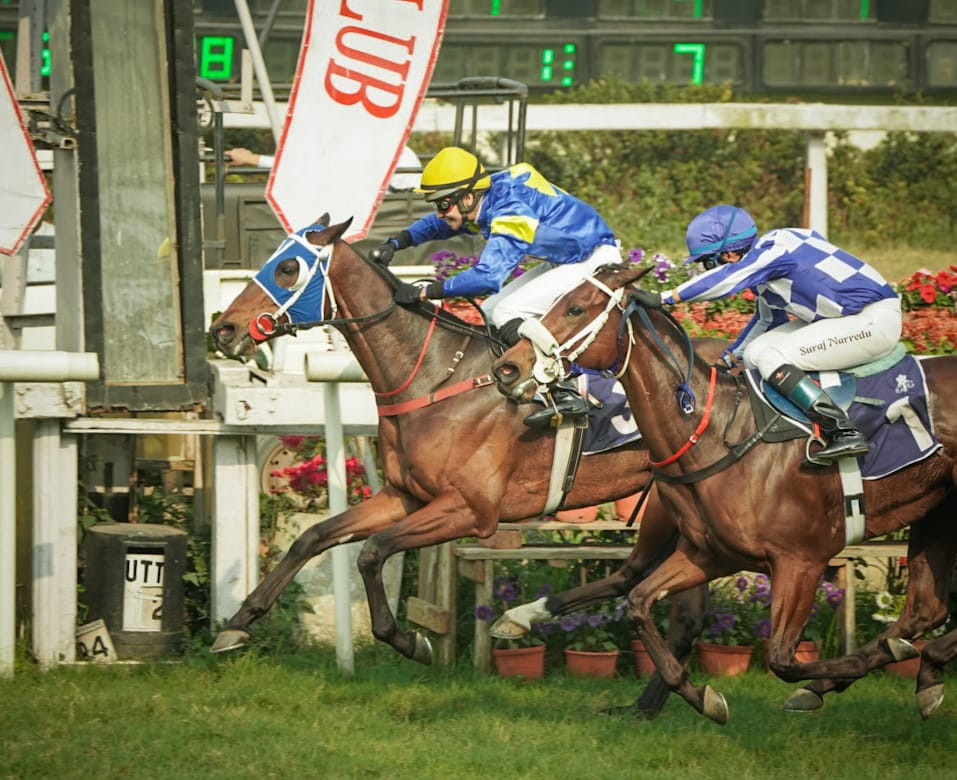 Calcutta, 17.02.2024