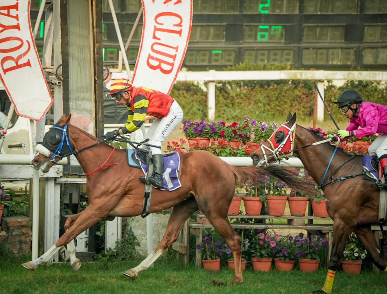 Calcutta, 17.02.2024