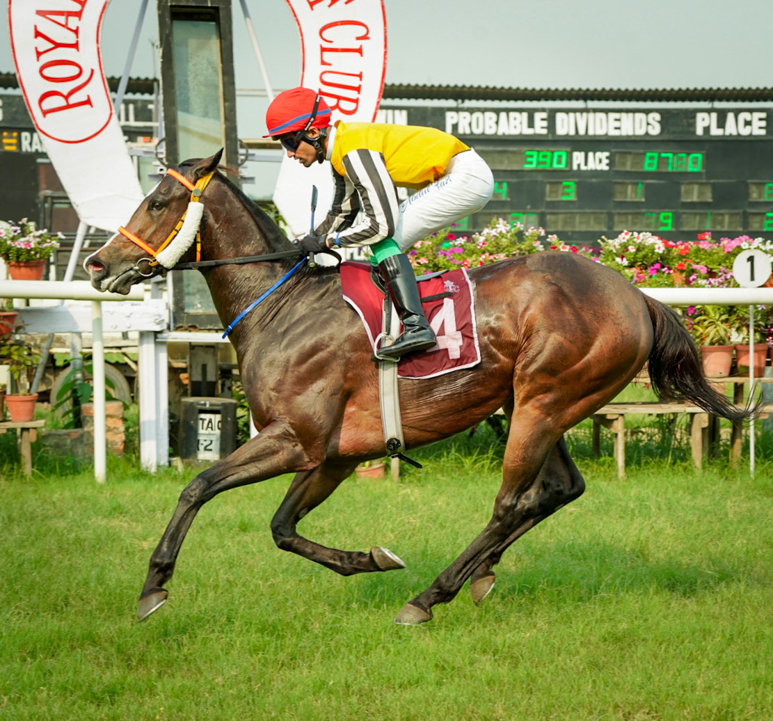 Calcutta, 27.03.2024