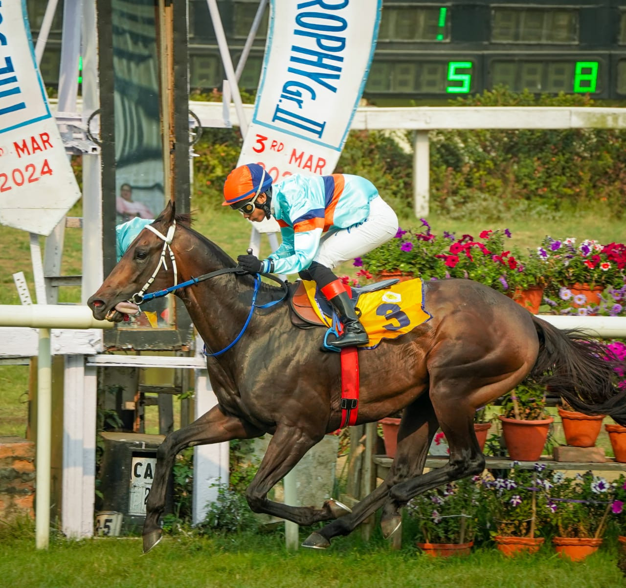 Calcutta, 03.03.2024