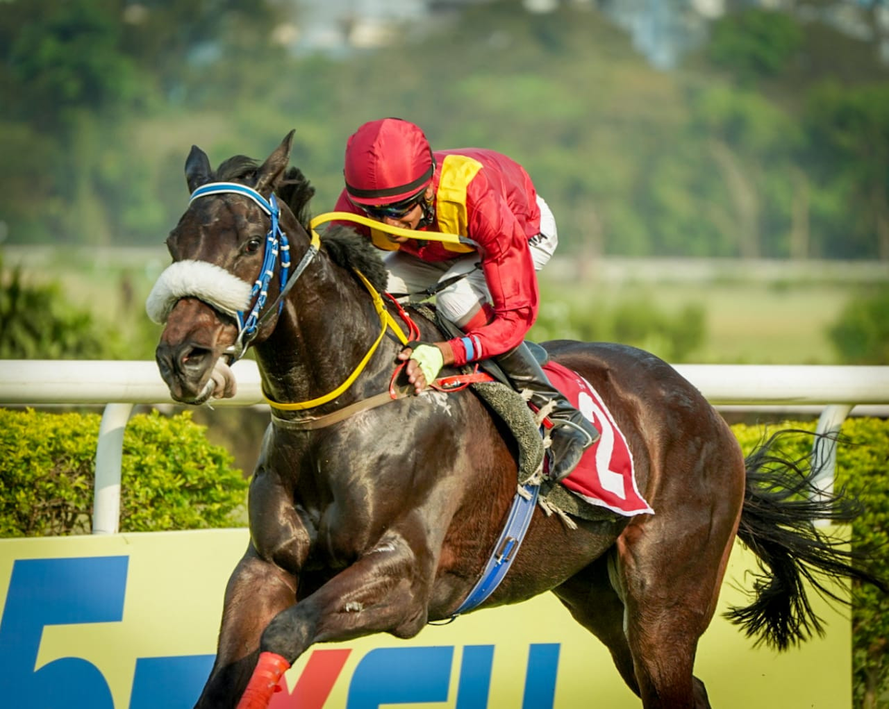 Calcutta, 13.03.2024