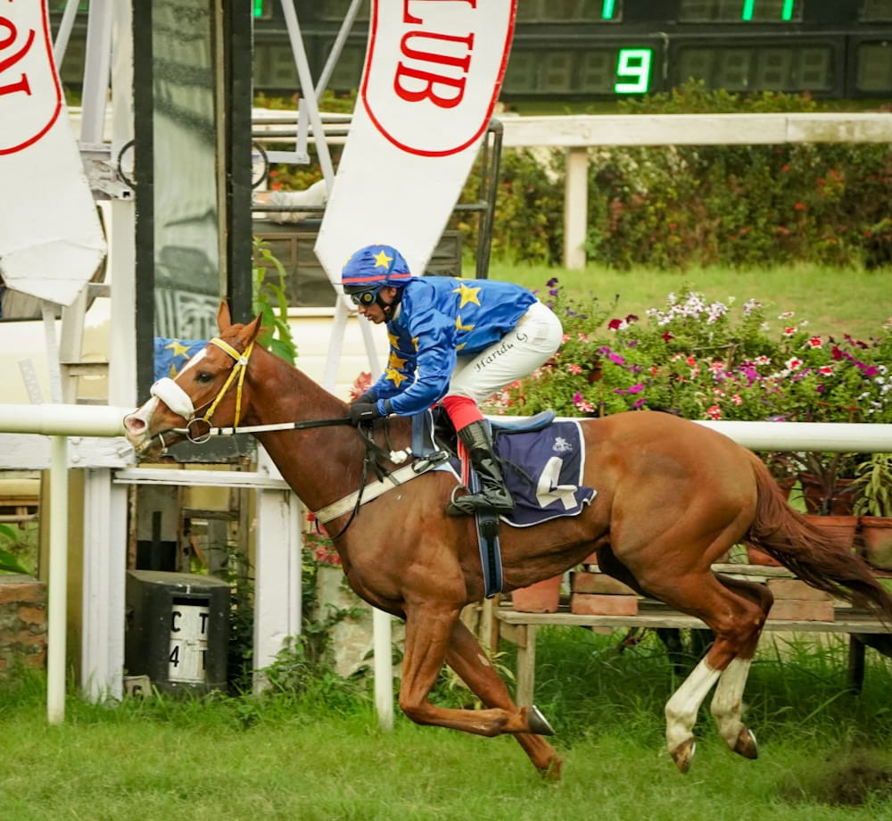 Calcutta, 26.03.2024