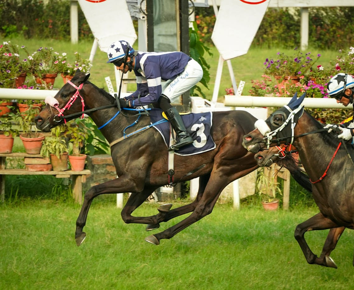 Calcutta, 03.04.2024