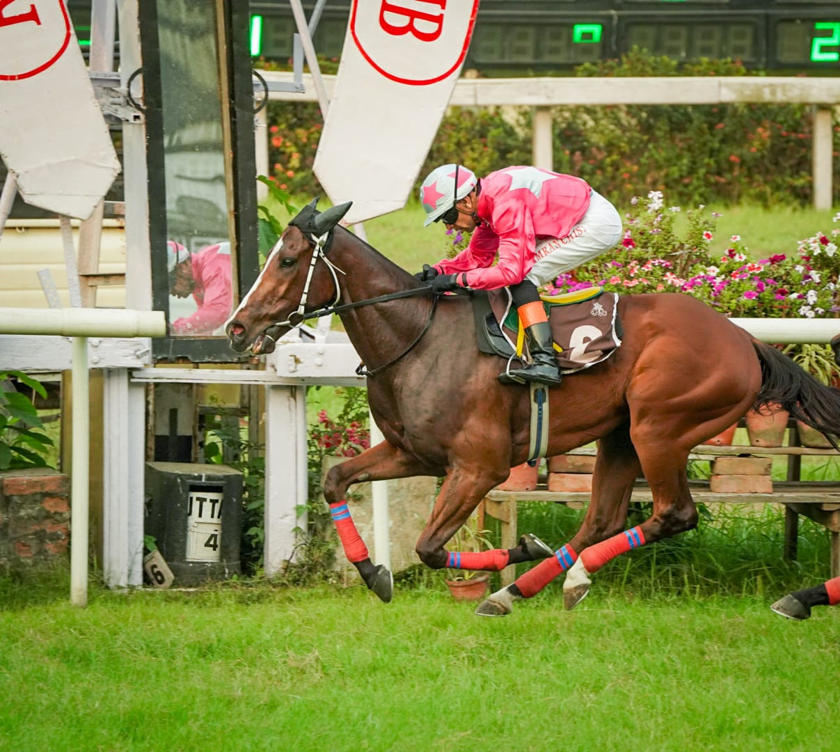 Calcutta, 03.04.2024