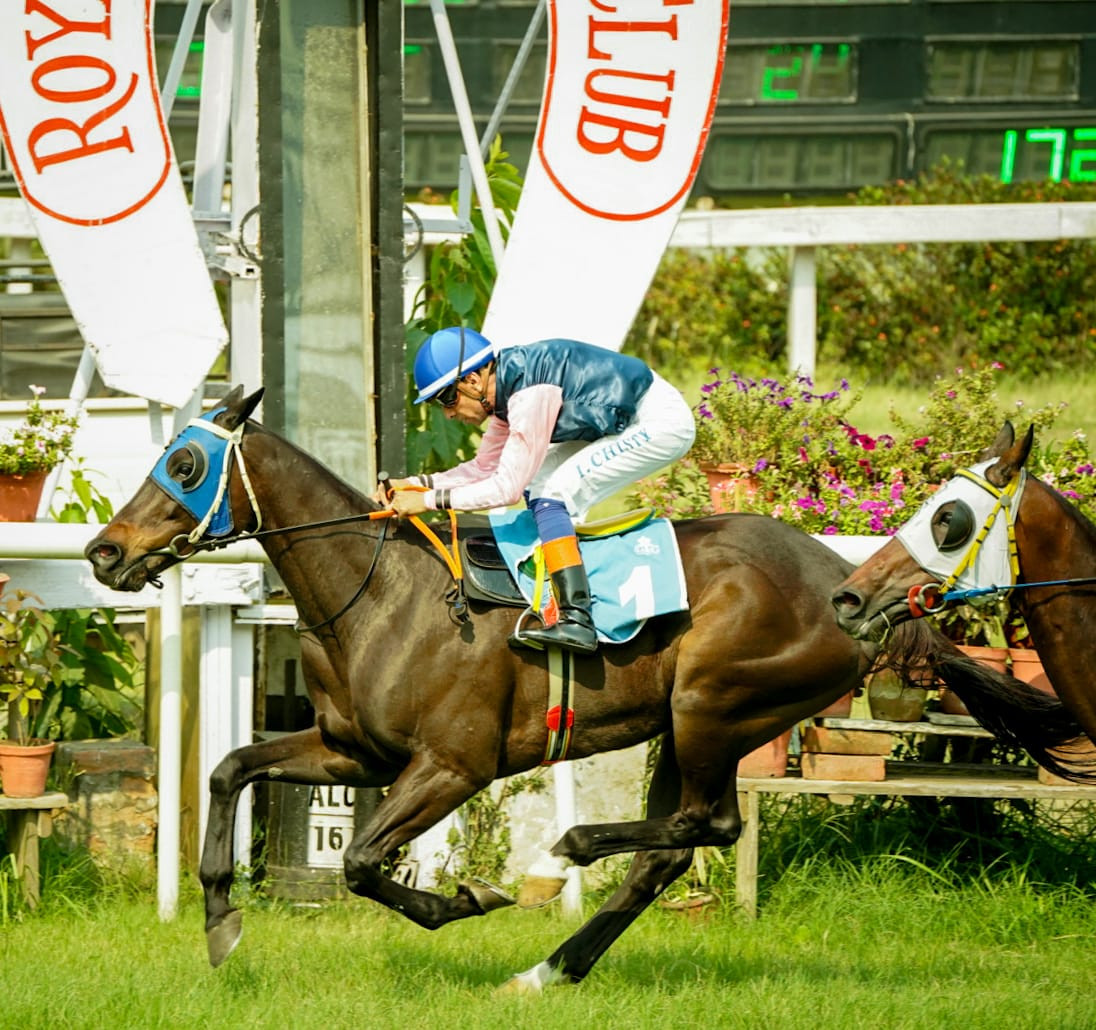 Calcutta, 16.04.2024