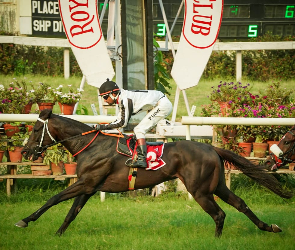 Calcutta, 16.04.2024