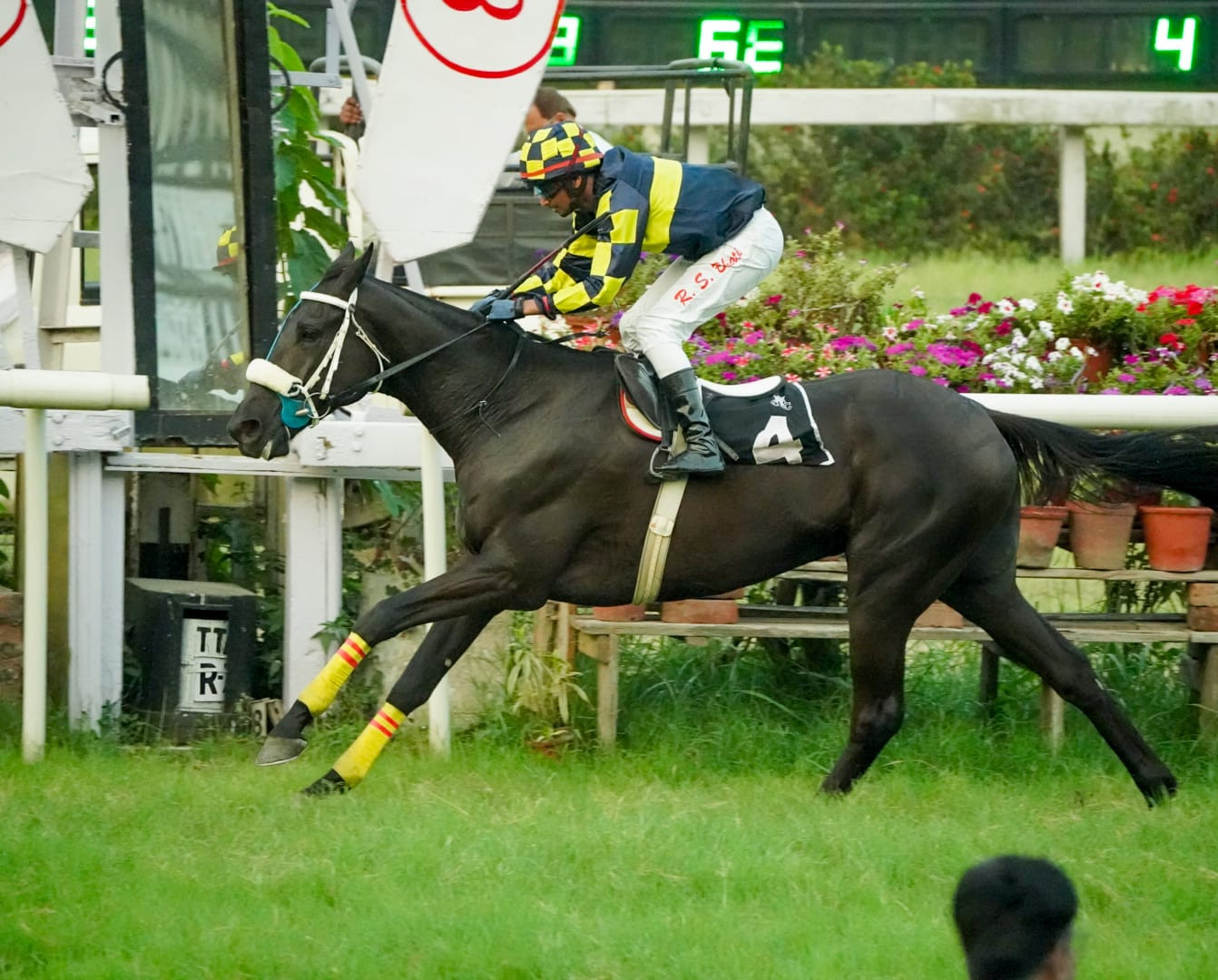 Calcutta, 16.04.2024